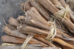 Palmyra-Seedlings-sold-in-market