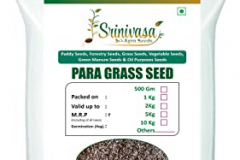 Seeds-of-Paragrass