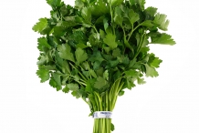Leaves-of-Parsley