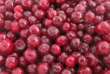 Collected-Partridgeberry