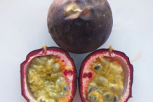 Ripe-Passion-fruit