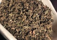 Dried-Patchouli-herb