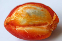 Half-cut-Peanut-Butter-Fruit