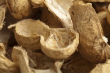 Shell-of-Peanuts