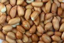 Shelled-peanuts-with-skin