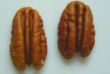 Pecan-nut-halves