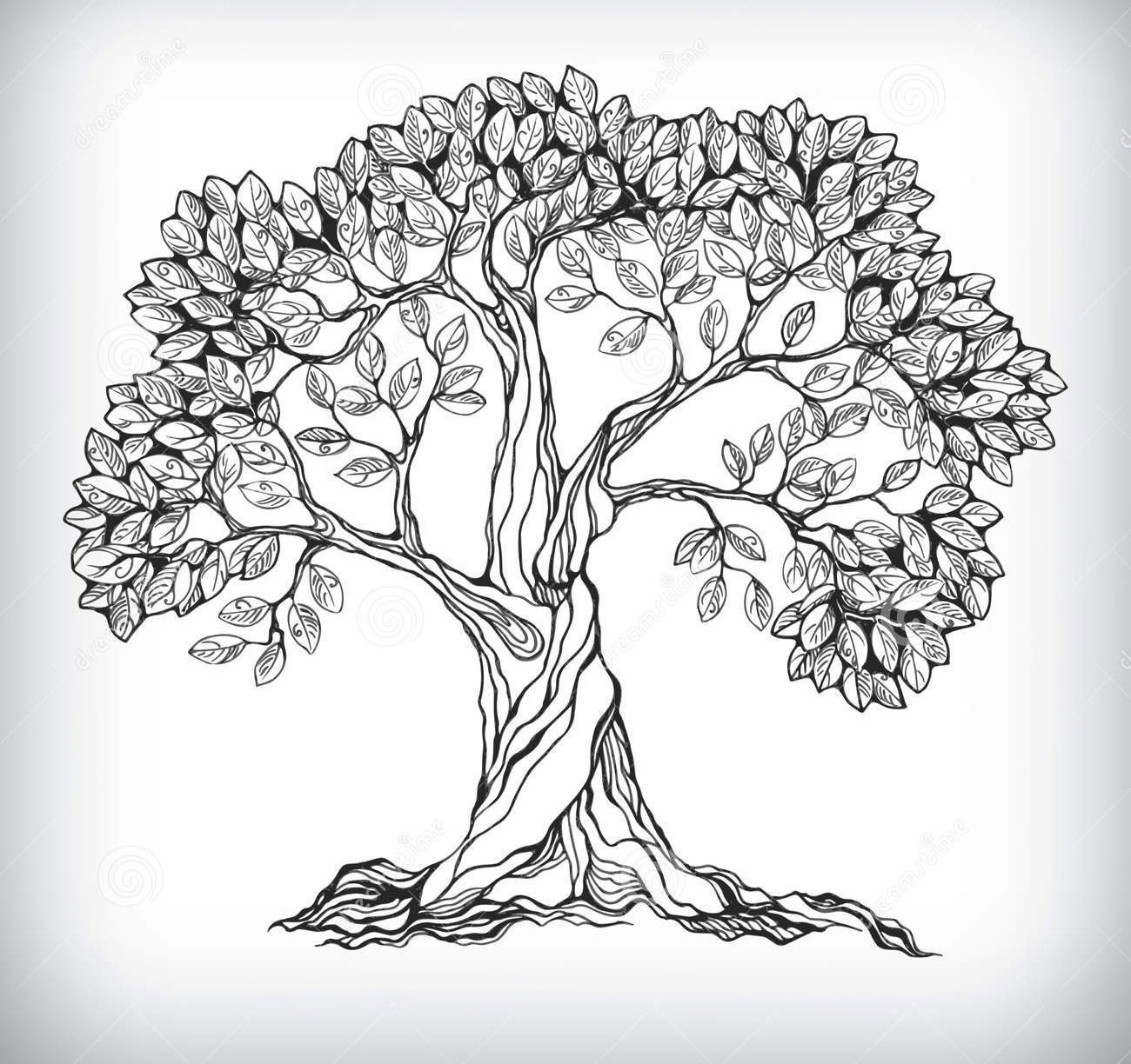 Sketch-of-Peepal-tree