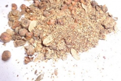 Seeds-of-Peepal-tree