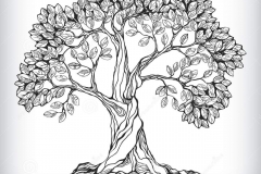 Sketch-of-Peepal-tree
