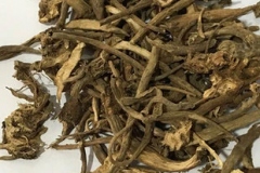 Dried-Peking-spurge-root