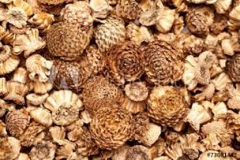 Dried-fruits-of-Pellitory