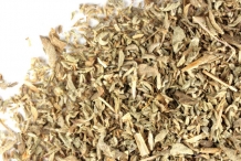 Dried-Pennyroyal-herb