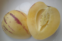 Half-cut-Pepino-melon