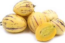Pepino-melon