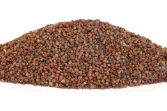 Perilla seeds
