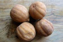 Dried-Persian-Lime