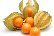 Physalis-fruit
