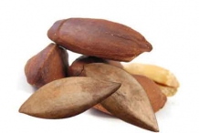 Pili-nut