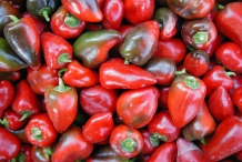 Pimiento-peppers