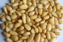 Pine-nuts