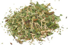 Dried-Pipsissewa-herb