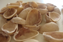 Pistachio-shell
