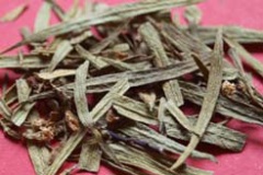 Dried-leaves-of-Pituri-plant