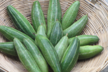 Pointed-gourd-in-the-basket