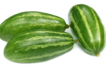 Pointed-gourd