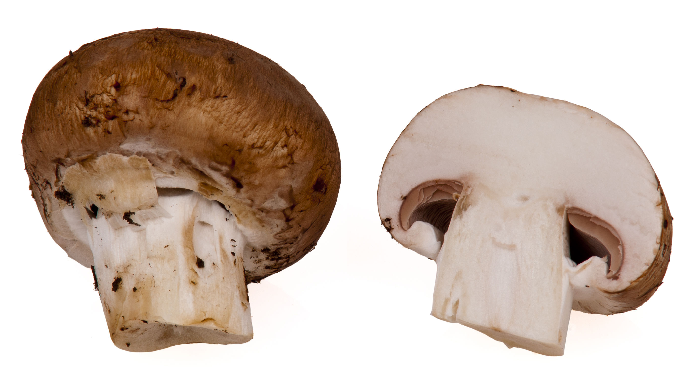 Half-cut-Portobello-mushroom