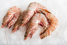 Raw-Prawn