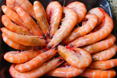 Prawns-on-the-plates