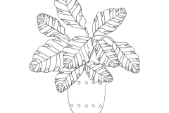 Sketch-of-Prayer-plant