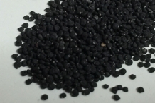 Purslane-seeds
