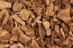 Dried-roots