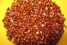 Quince-seeds