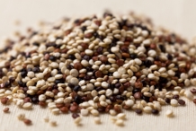 Quinoa-seeds