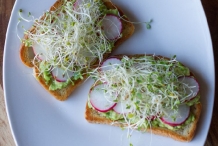 Avocado-Radish-sprouts