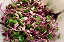 Radish-sprout-salad