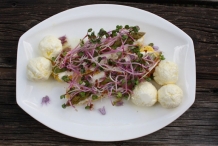Radish-sprouts-1