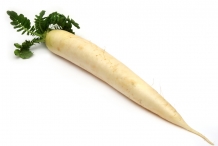 Radish-root