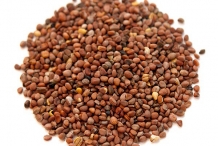 Radish-seeds