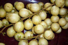 Ripe-Rambai-fruit