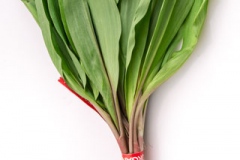 Bunch-of-Ramp