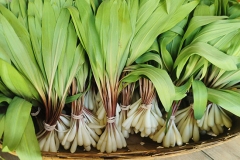 Ramp-Sold-in-Market