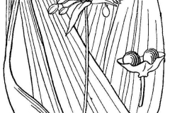 Sketch-of-Ramp