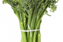 Rapini