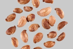 Seeds-of-Red-Chokeberry