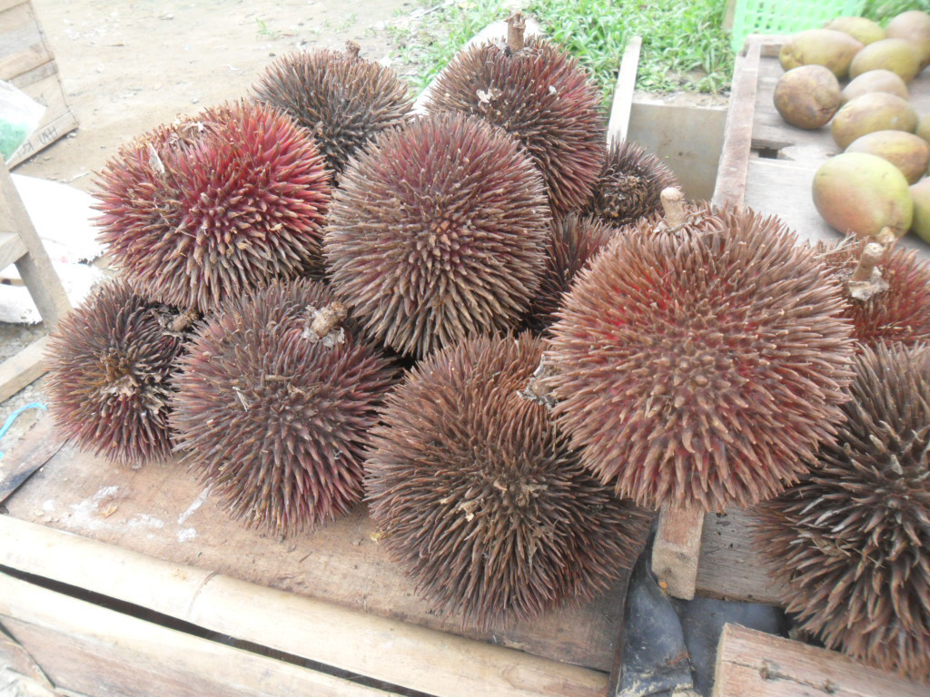 Red-Durian-fruits