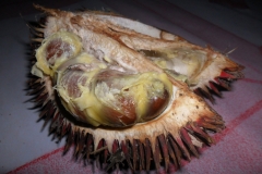 Half-cut-Red-Durian-fruit